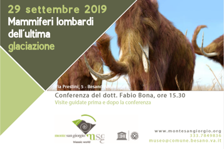 Ultimo appuntamento del ciclo di conferenze al Museo di Besano il 29 settembre 2019